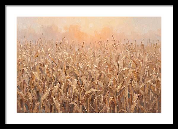 Cornfield At Dusk