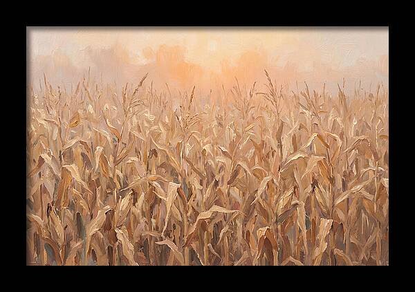 Cornfield At Dusk