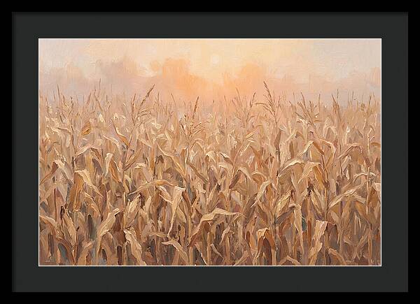 Cornfield At Dusk