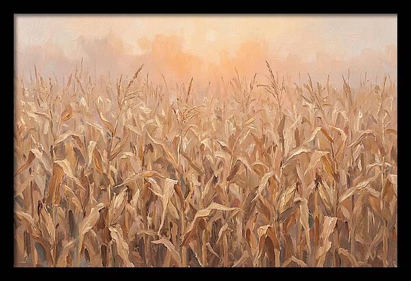 Cornfield At Dusk
