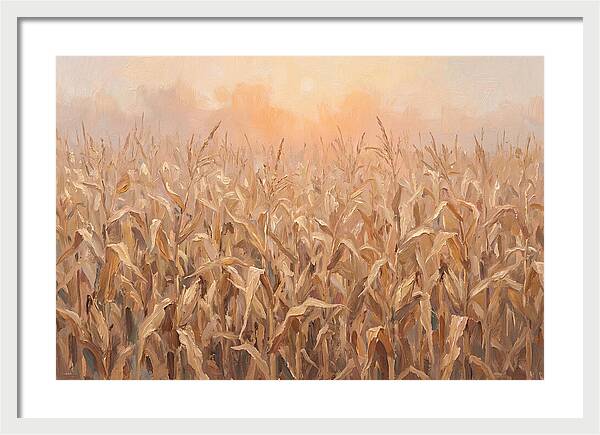 Cornfield At Dusk
