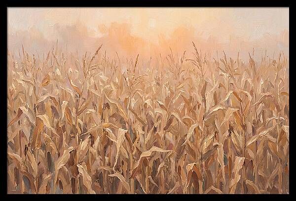 Cornfield At Dusk