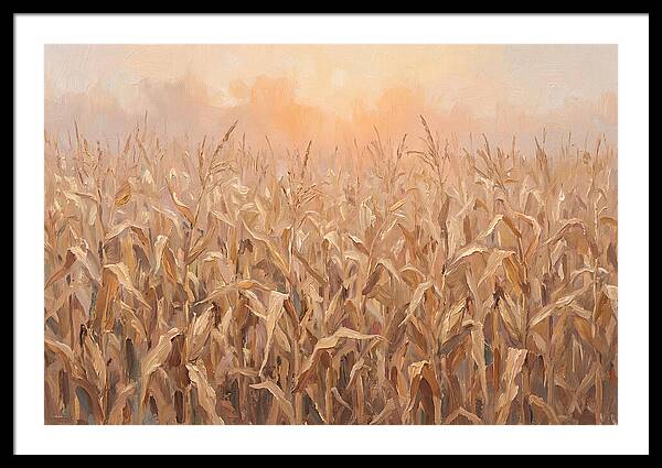 Cornfield At Dusk