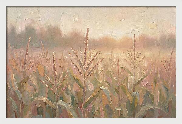 Cornfield Tassels Catching Late Summer