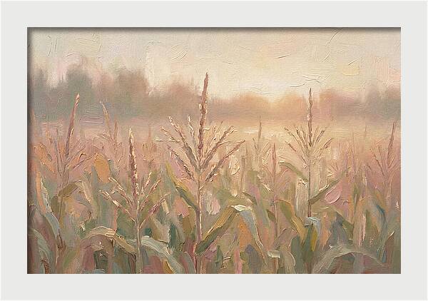 Cornfield Tassels Catching Late Summer