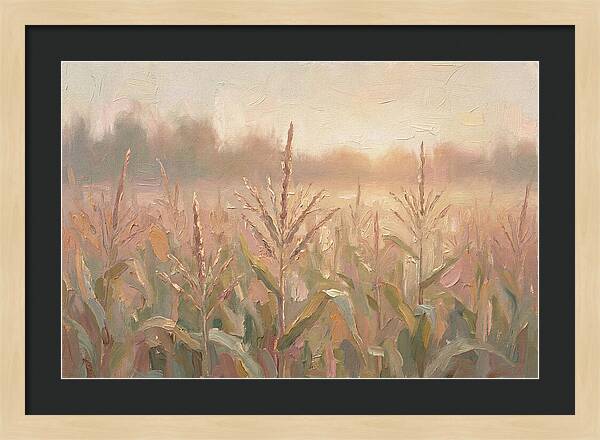 Cornfield Tassels Catching Late Summer