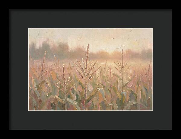 Cornfield Tassels Catching Late Summer