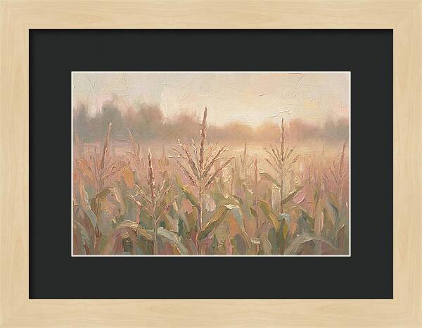 Cornfield Tassels Catching Late Summer