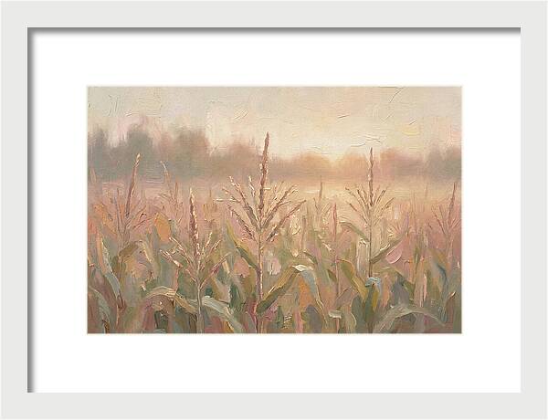 Cornfield Tassels Catching Late Summer