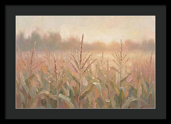 Cornfield Tassels Catching Late Summer