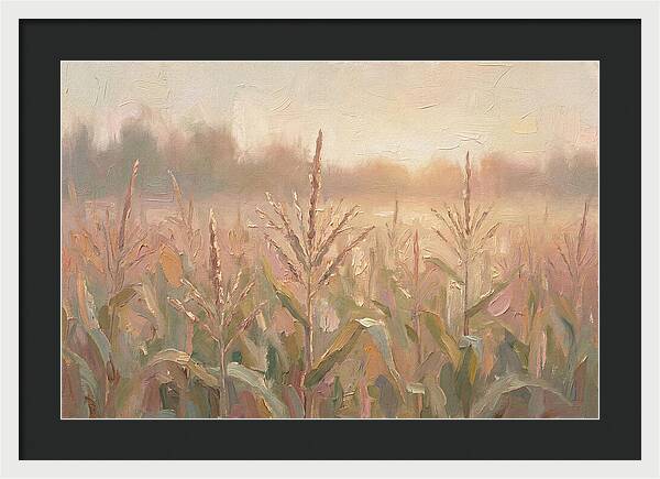 Cornfield Tassels Catching Late Summer