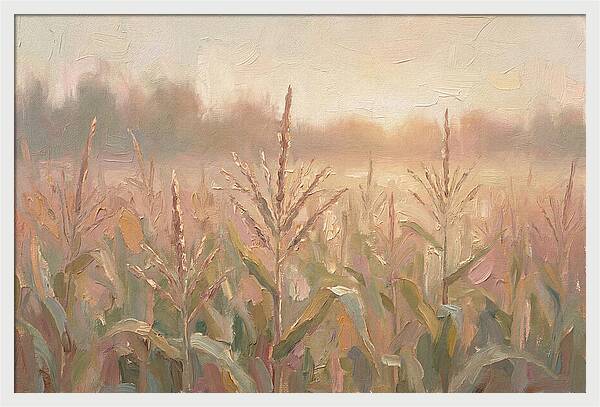 Cornfield Tassels Catching Late Summer