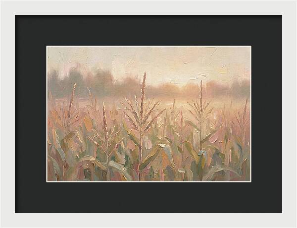 Cornfield Tassels Catching Late Summer