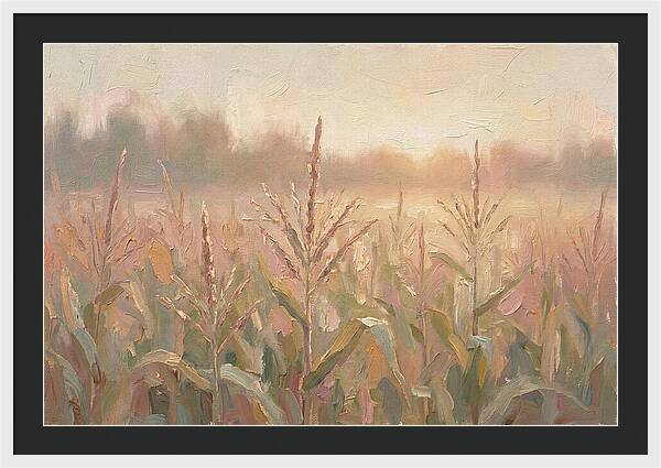 Cornfield Tassels Catching Late Summer