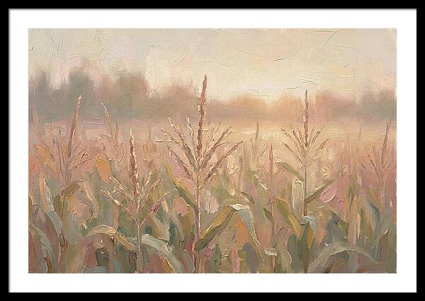 Cornfield Tassels Catching Late Summer
