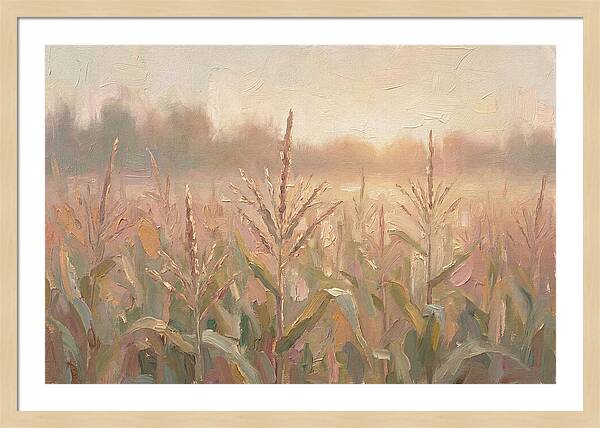 Cornfield Tassels Catching Late Summer