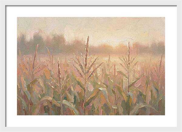 Cornfield Tassels Catching Late Summer