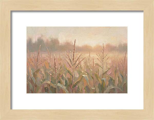 Cornfield Tassels Catching Late Summer