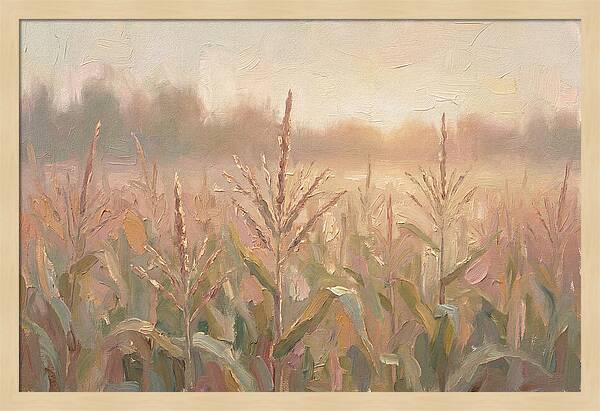 Cornfield Tassels Catching Late Summer