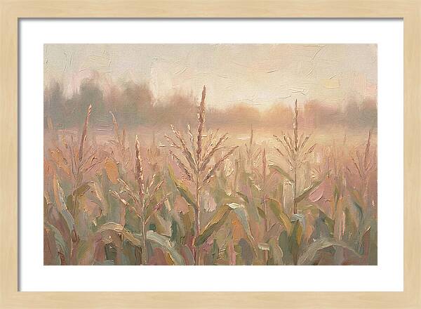 Cornfield Tassels Catching Late Summer