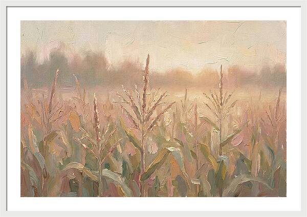 Cornfield Tassels Catching Late Summer