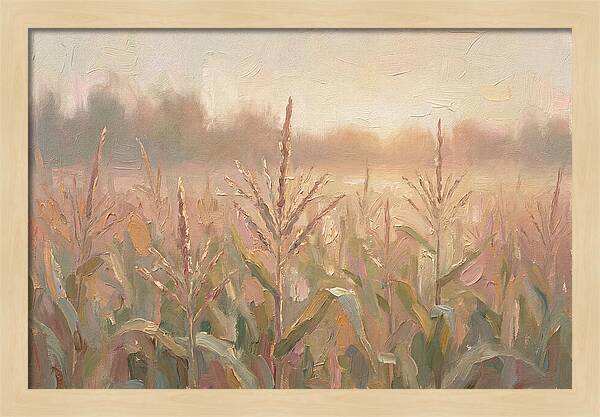 Cornfield Tassels Catching Late Summer