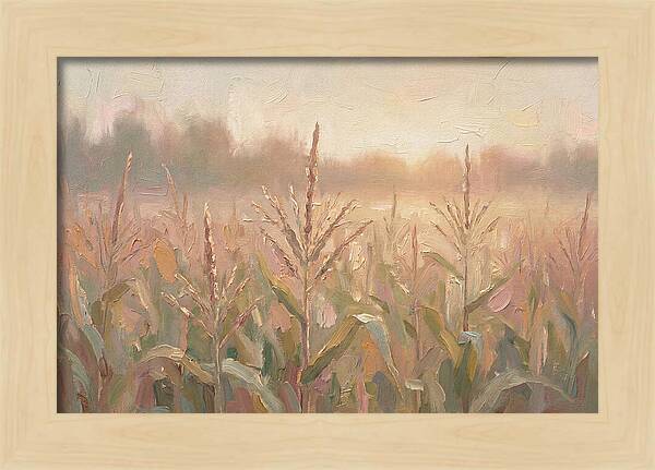 Cornfield Tassels Catching Late Summer