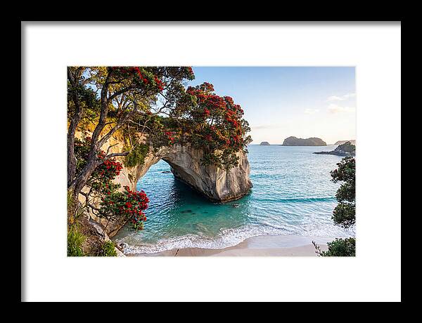 Coromandel Coastline Serenity