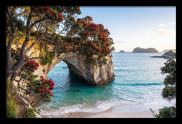 Coromandel Coastline Serenity