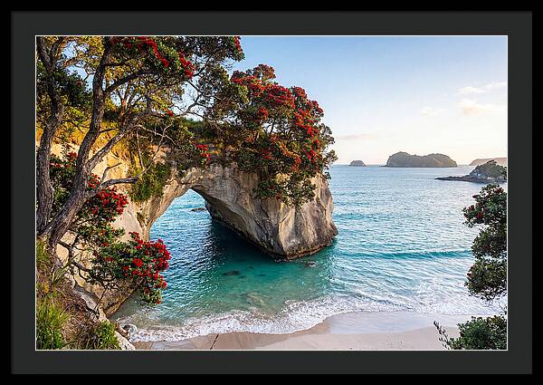 Coromandel Coastline Serenity