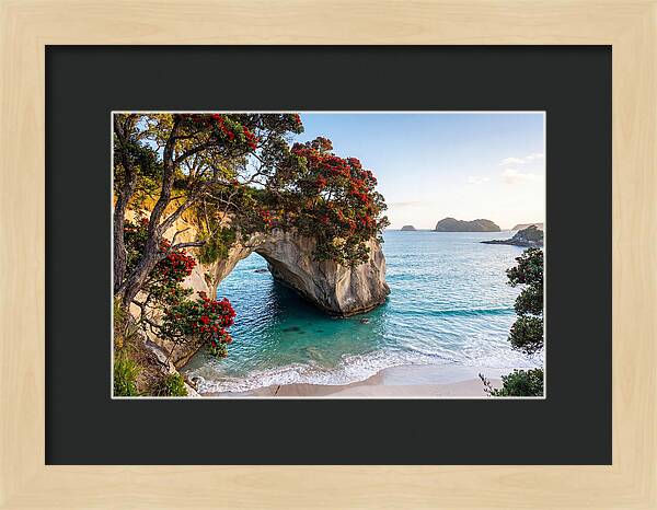Coromandel Coastline Serenity