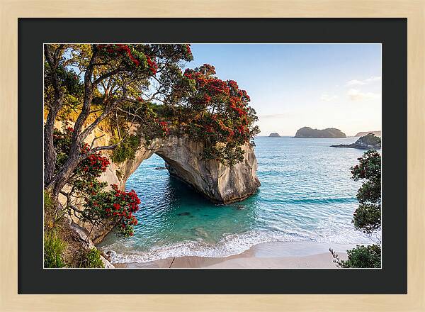 Coromandel Coastline Serenity