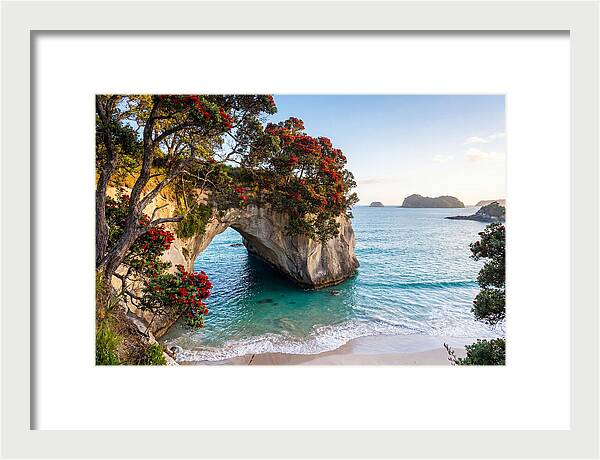 Coromandel Coastline Serenity