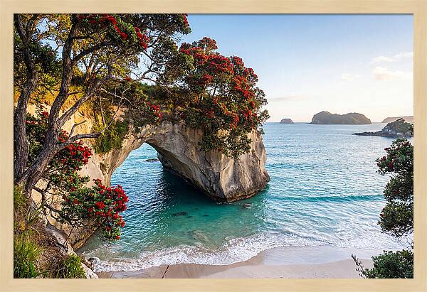 Coromandel Coastline Serenity