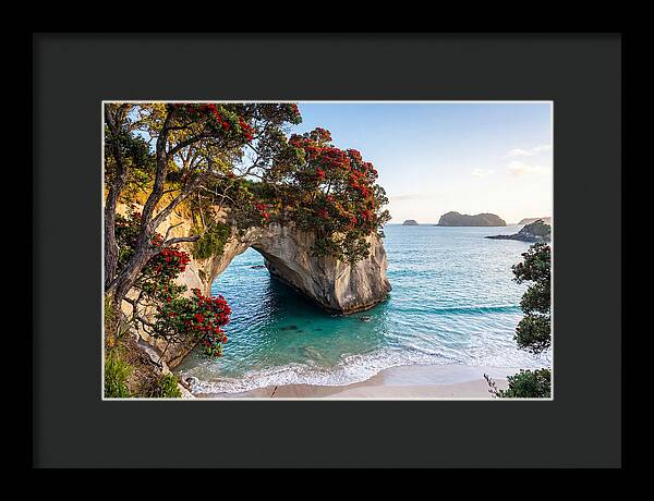 Coromandel Coastline Serenity