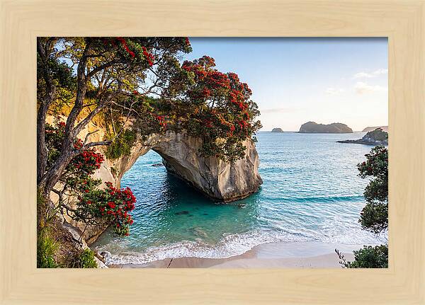 Coromandel Coastline Serenity