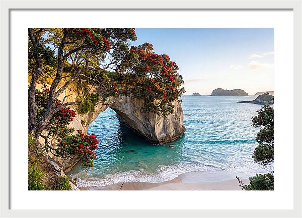 Coromandel Coastline Serenity