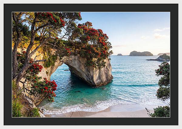 Coromandel Coastline Serenity