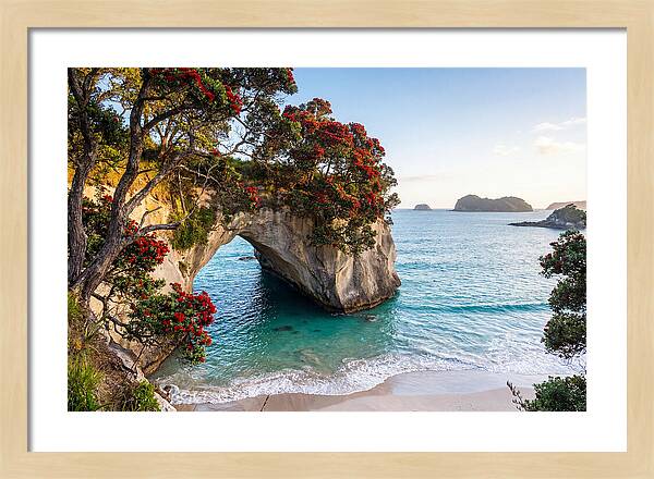 Coromandel Coastline Serenity