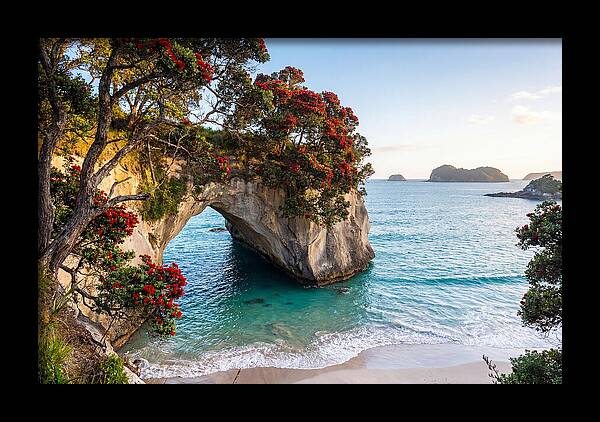 Coromandel Coastline Serenity