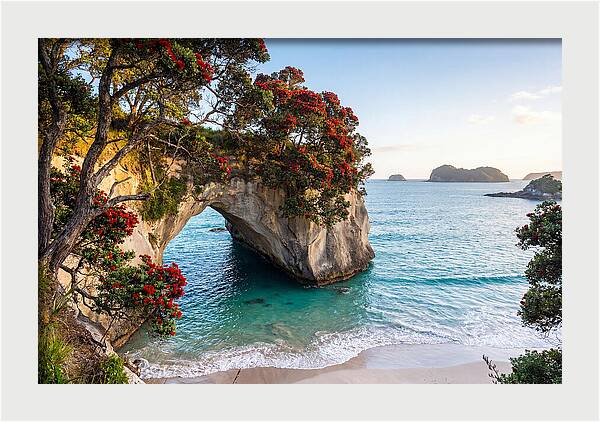 Coromandel Coastline Serenity