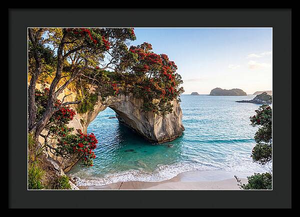 Coromandel Coastline Serenity