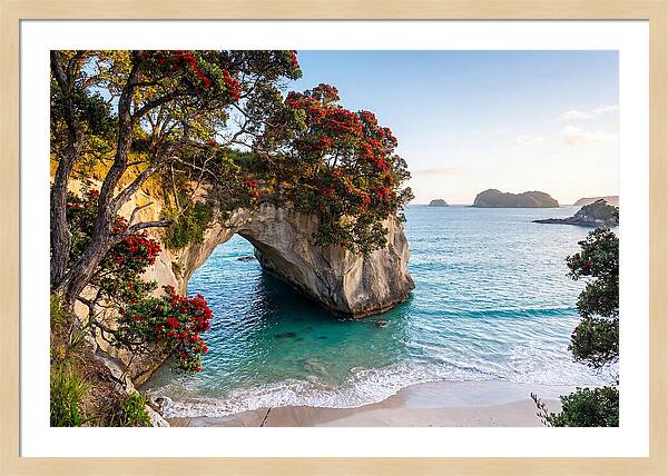 Coromandel Coastline Serenity