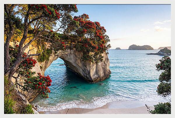 Coromandel Coastline Serenity