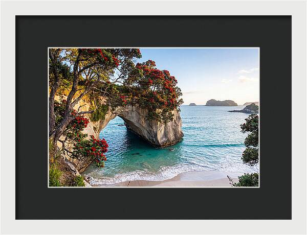 Coromandel Coastline Serenity