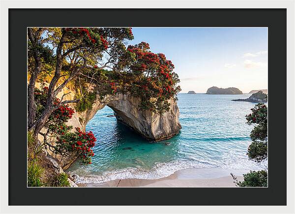 Coromandel Coastline Serenity