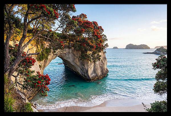 Coromandel Coastline Serenity