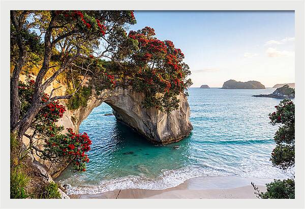 Coromandel Coastline Serenity