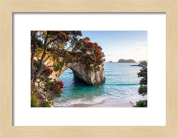Coromandel Coastline Serenity