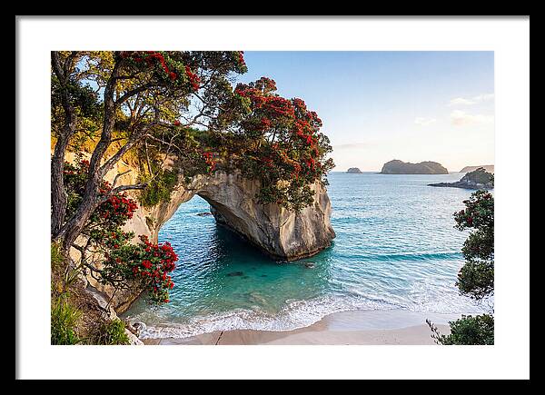 Coromandel Coastline Serenity